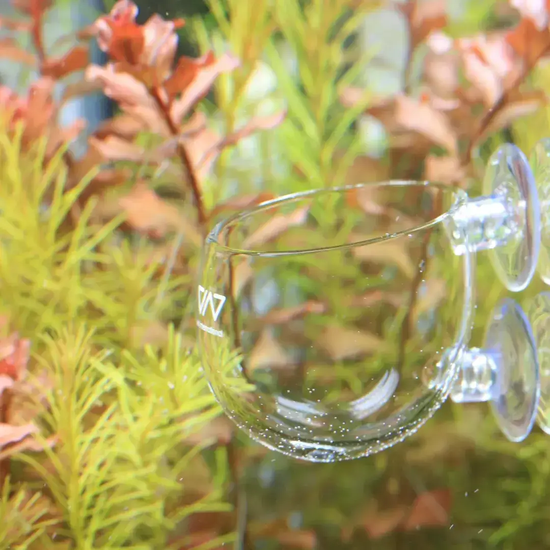 Other glass fittings